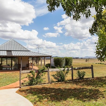 Owl Head Lodge Gulgong Ngoại thất bức ảnh