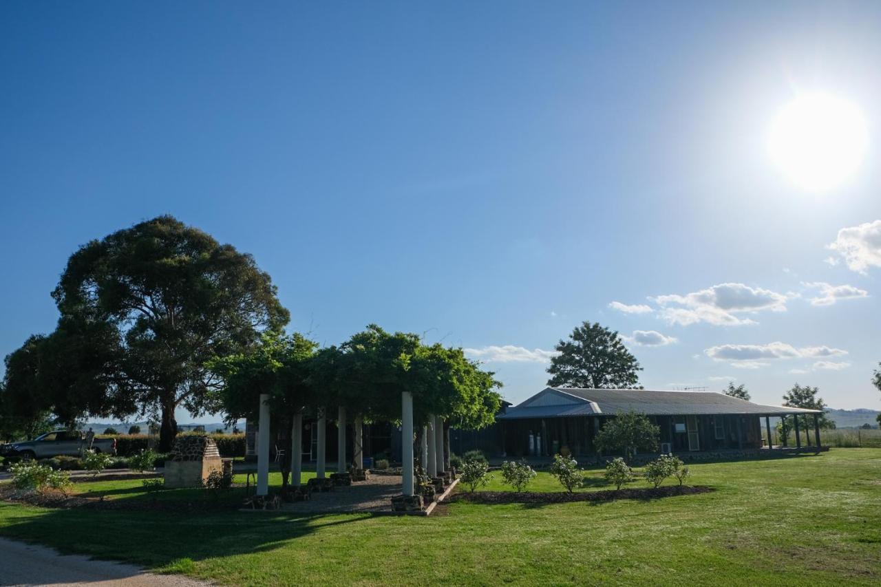 Owl Head Lodge Gulgong Ngoại thất bức ảnh