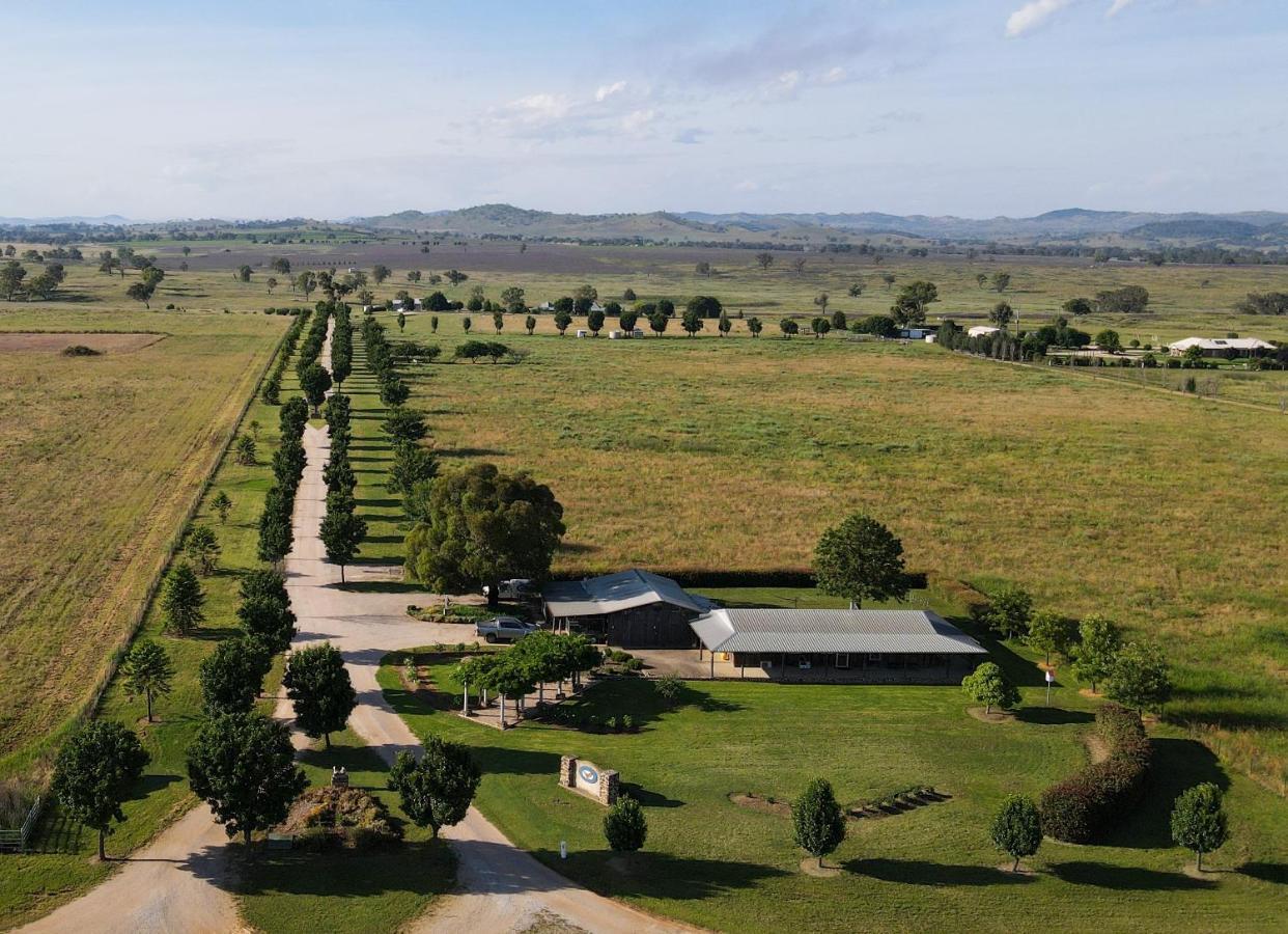 Owl Head Lodge Gulgong Ngoại thất bức ảnh