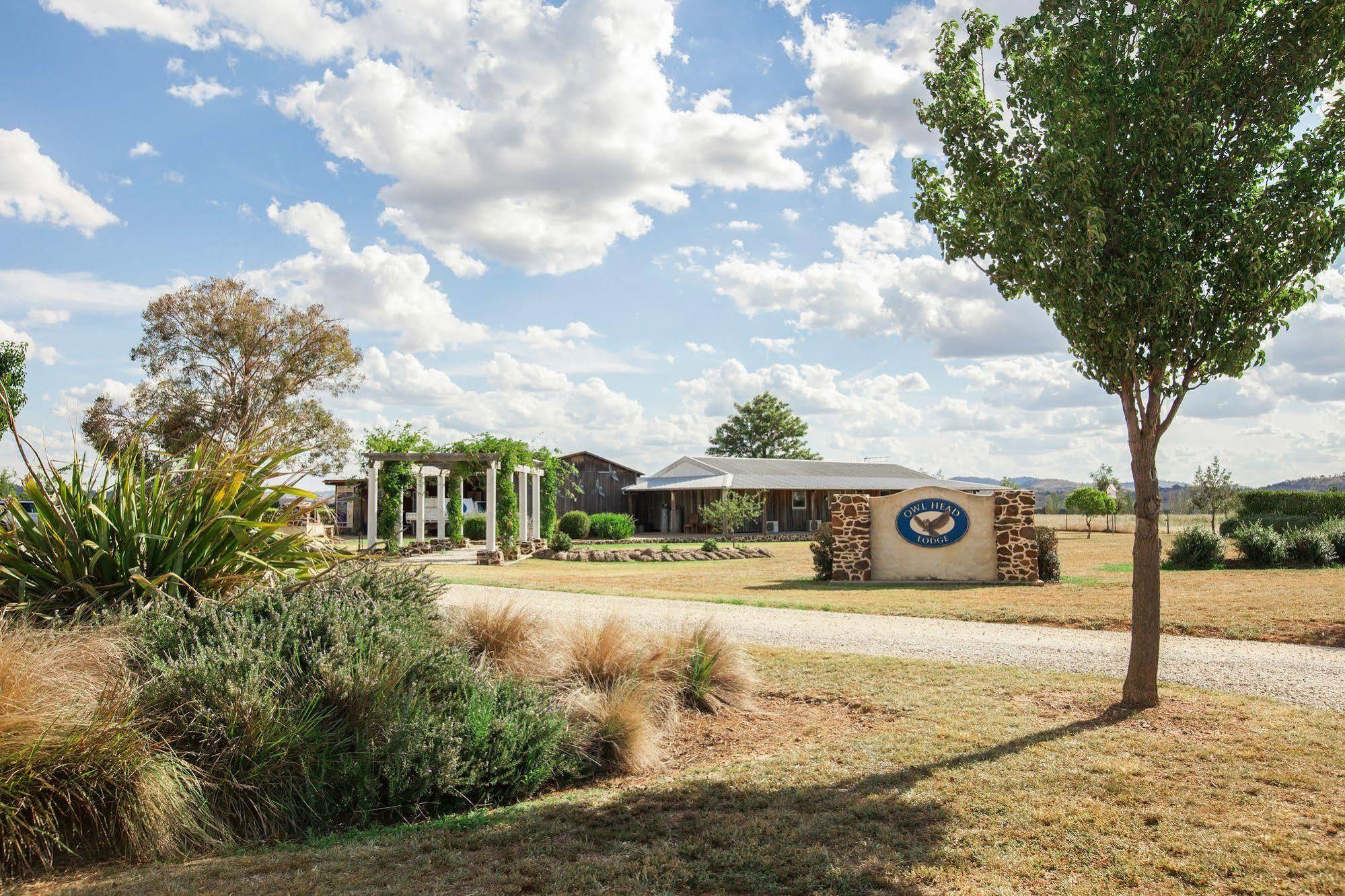 Owl Head Lodge Gulgong Ngoại thất bức ảnh