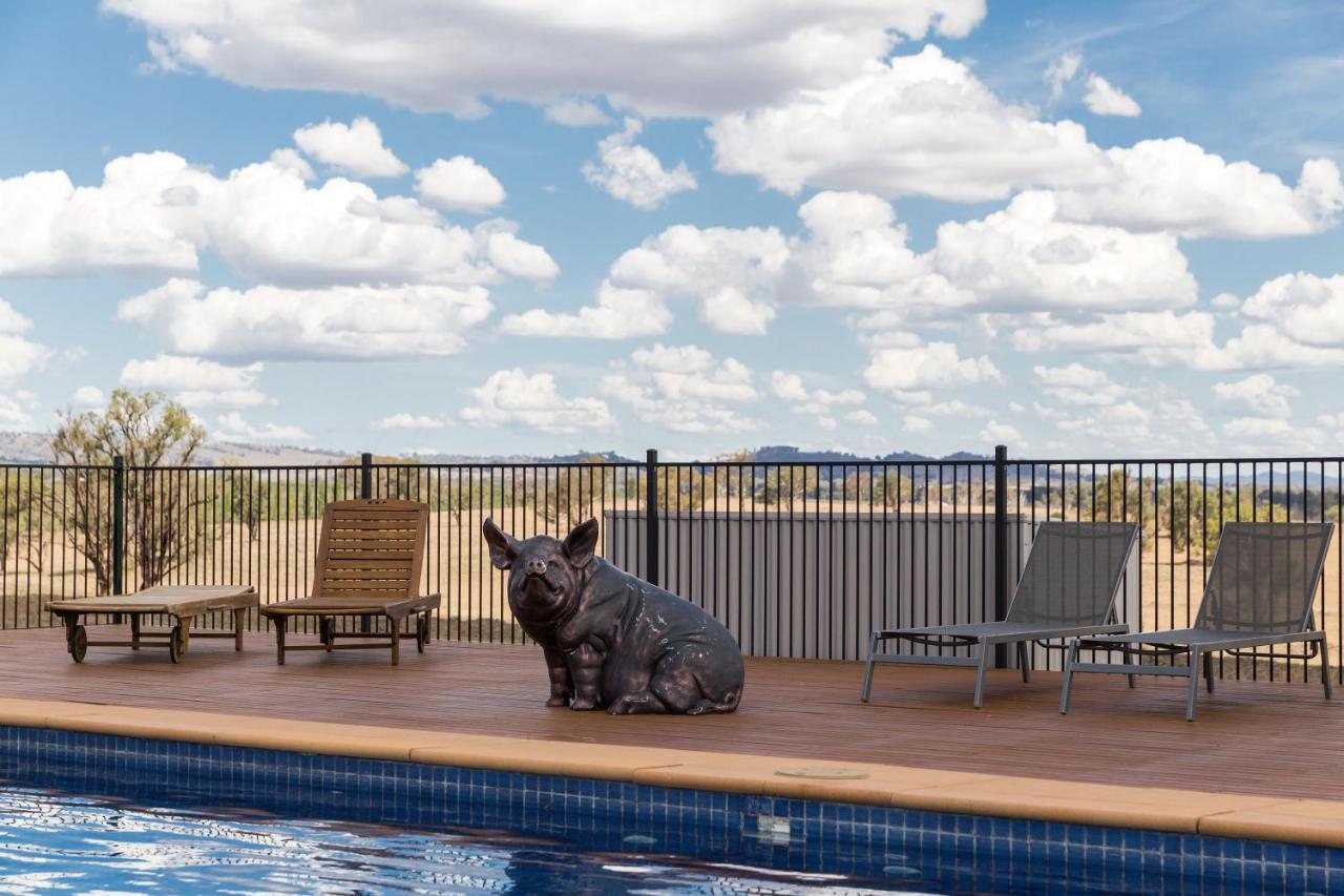 Owl Head Lodge Gulgong Ngoại thất bức ảnh